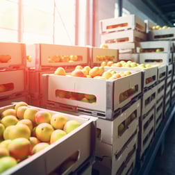 industry-foods-banner-2