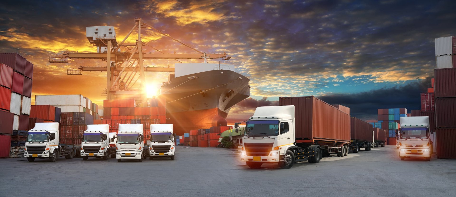 project-cargo-banner-3